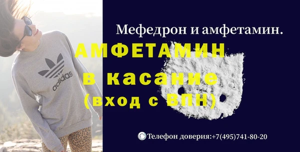 прущие грибы Мегион