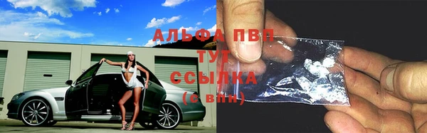 прущие грибы Мегион