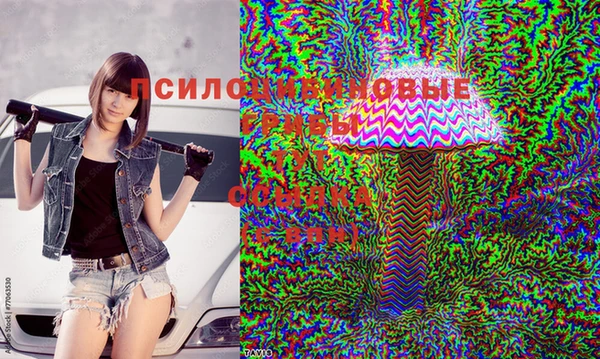 ешки Магас