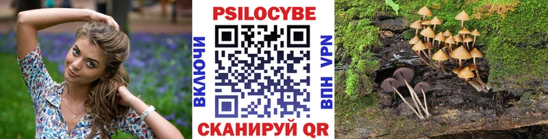 hydra маркетплейс  Моздок  Псилоцибиновые грибы MAGIC MUSHROOMS 