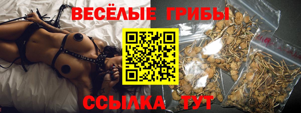 Моздок  Галлюциногенные грибы Psilocybe  Вход с VPN  Псилоцибиновые грибы мухоморы 